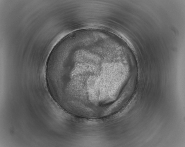 X0000113360899200910061037