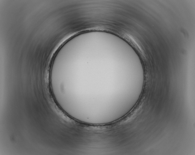 X0000113360900200910061037