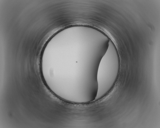 X0000113360901200910061037