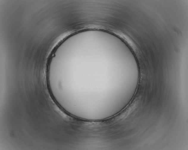 X0000113360902200910061037