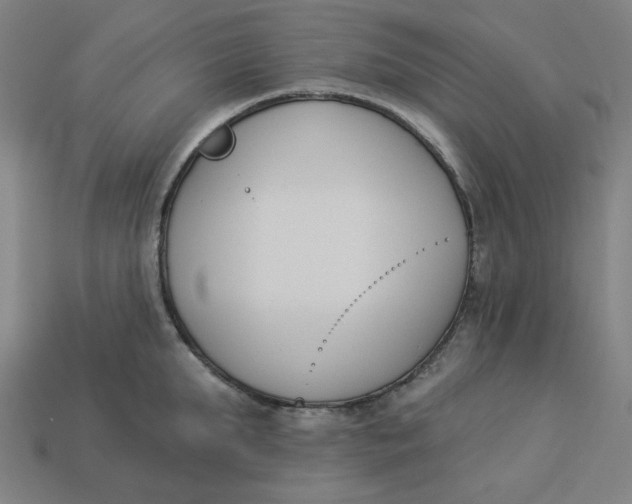 X0000113360903200910061037