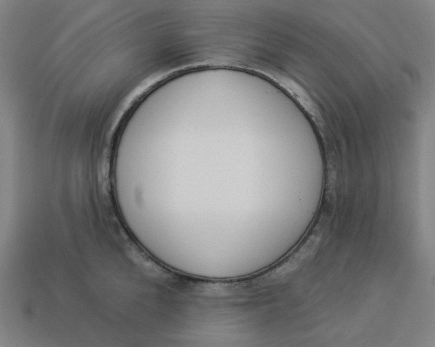 X0000113360904200910061037