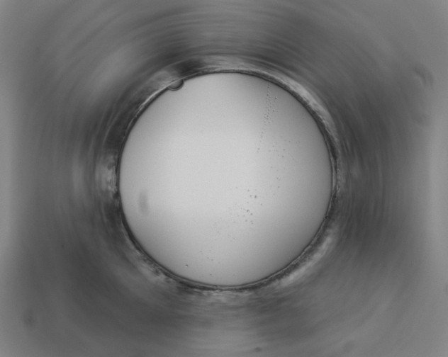 X0000113360905200910061037