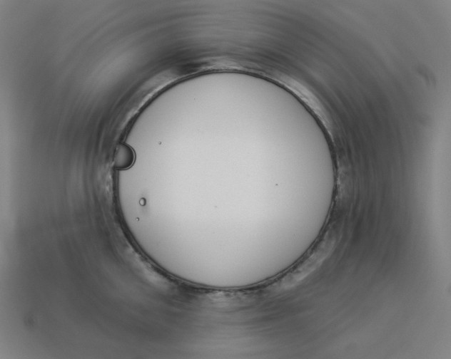 X0000113360906200910061037