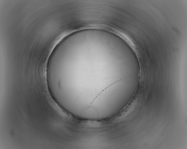 X0000113360907200910061037