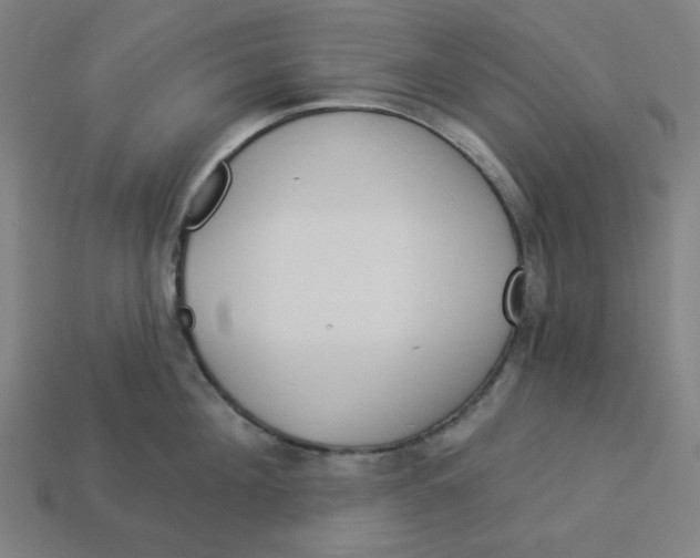 X0000113360908200910061037