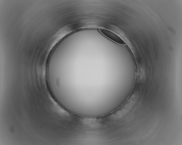 X0000113360909200910061037