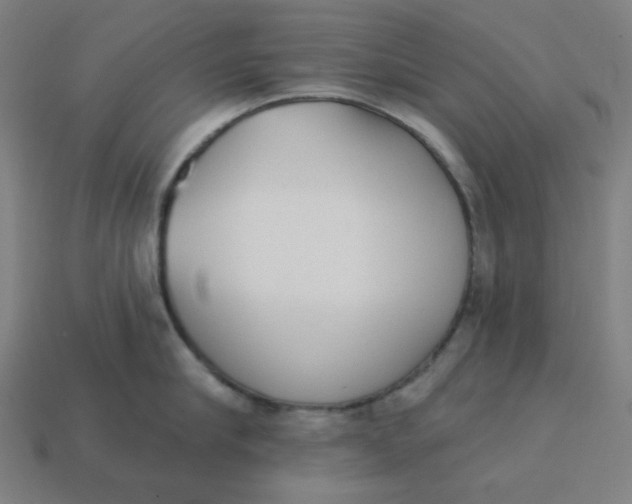 X0000113360910200910061037