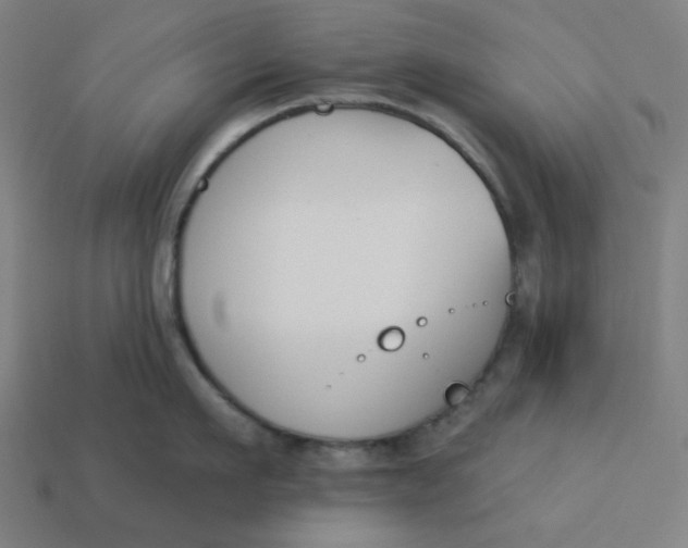 X0000113360911200910061037