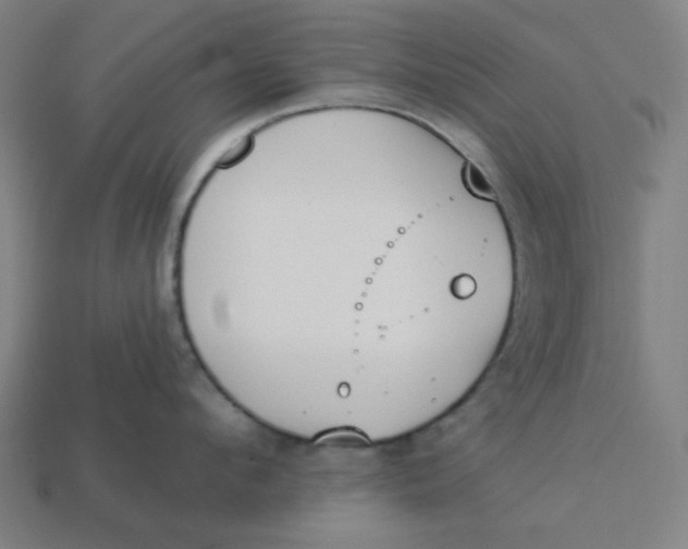 X0000113360912200910061037