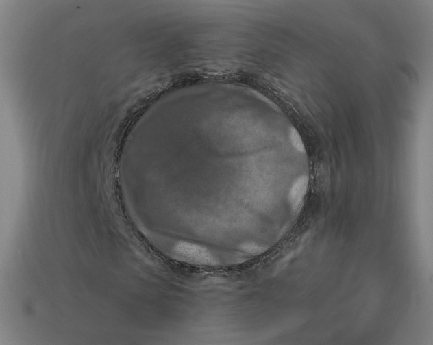 X0000113360913200910061036