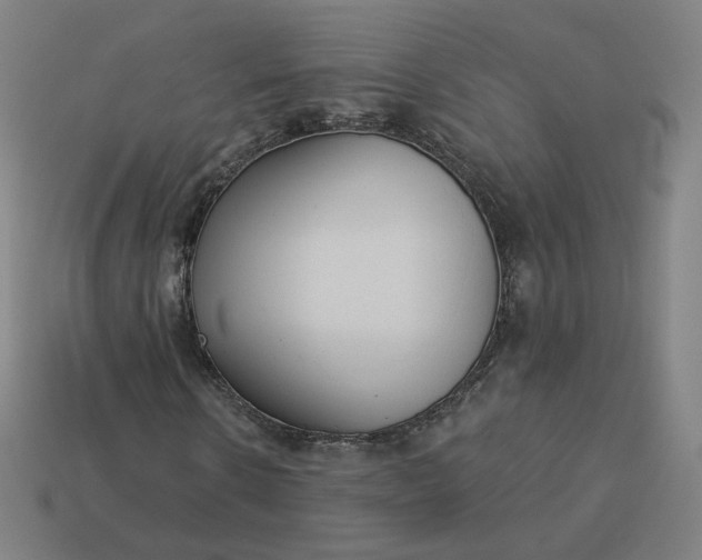 X0000113360914200910061036