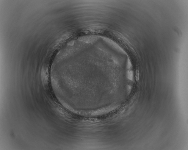 X0000113360915200910061036