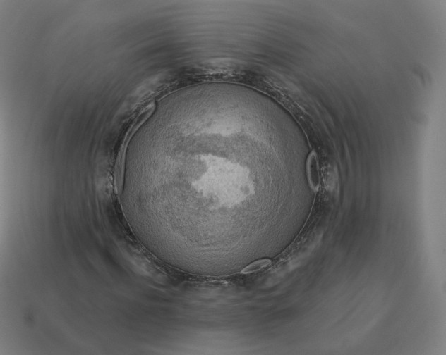 X0000113360916200910061036