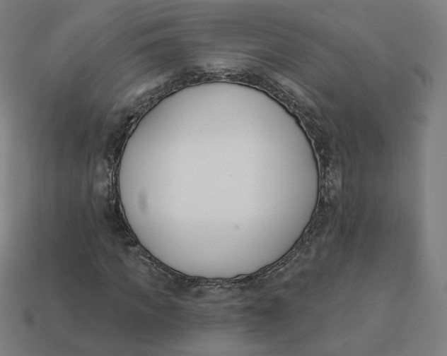 X0000113360917200910061036