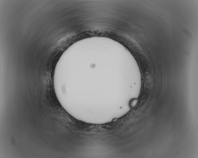 X0000113360918200910061036