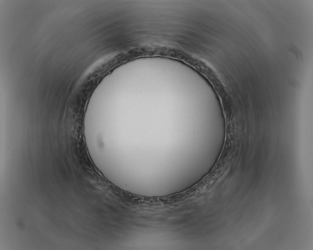 X0000113360919200910061037