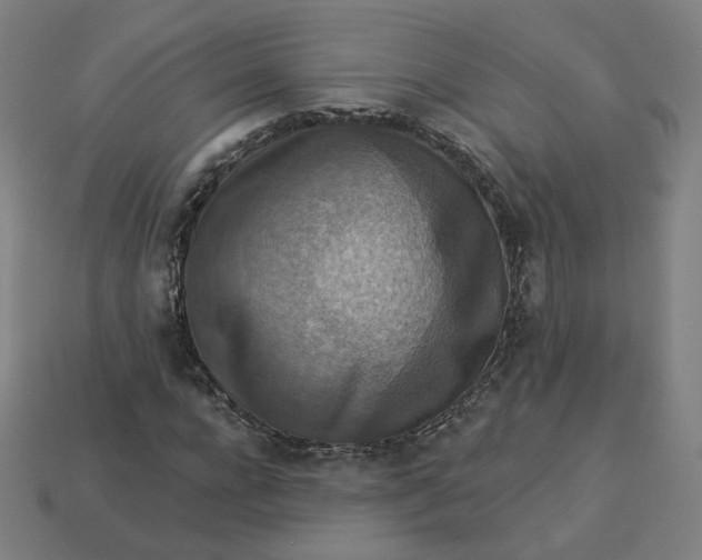 X0000113360920200910061037