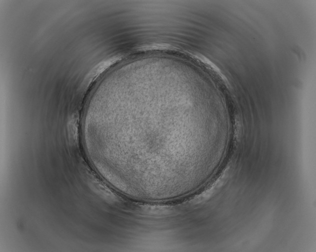 X0000113360921200910061037