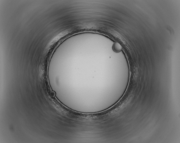 X0000113360922200910061037