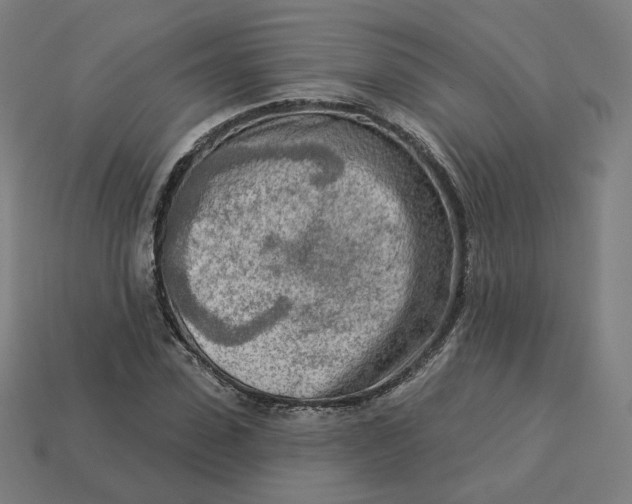 X0000113360923200910061037