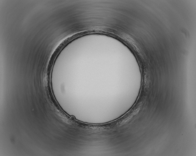 X0000113360924200910061037