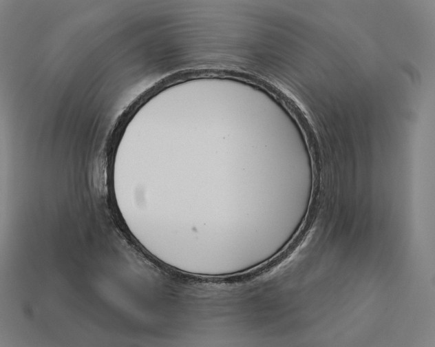 X0000113360925200910061037