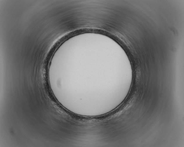 X0000113360926200910061037