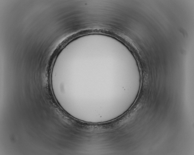 X0000113360927200910061037