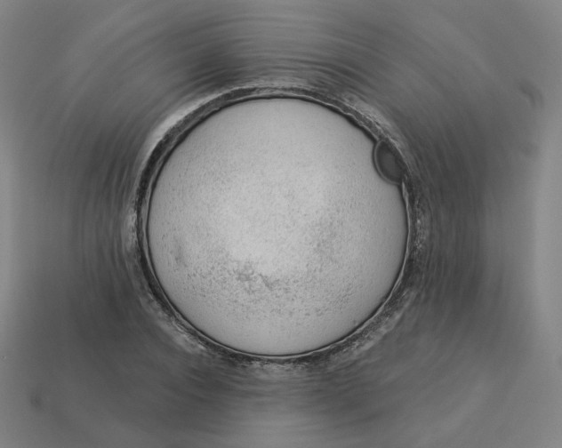 X0000113360928200910061037