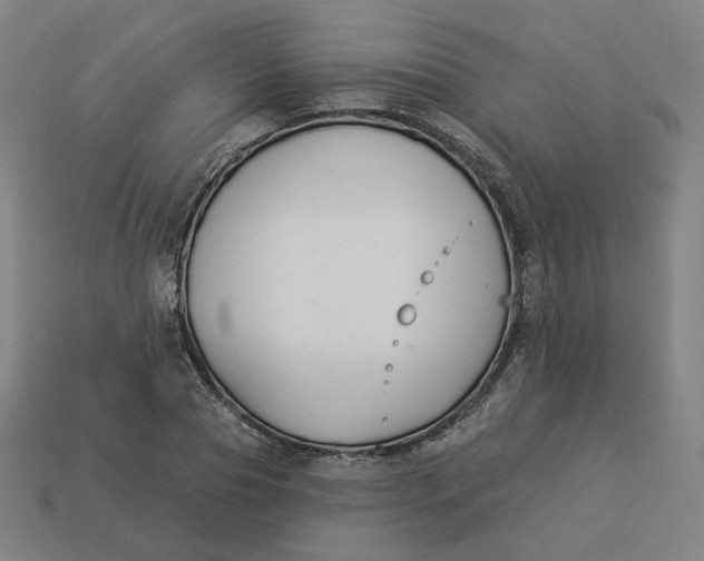 X0000113360929200910061037