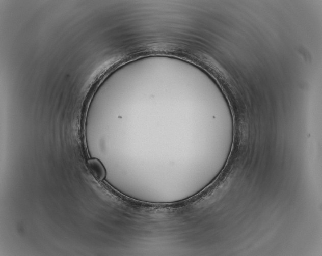 X0000113360930200910061037