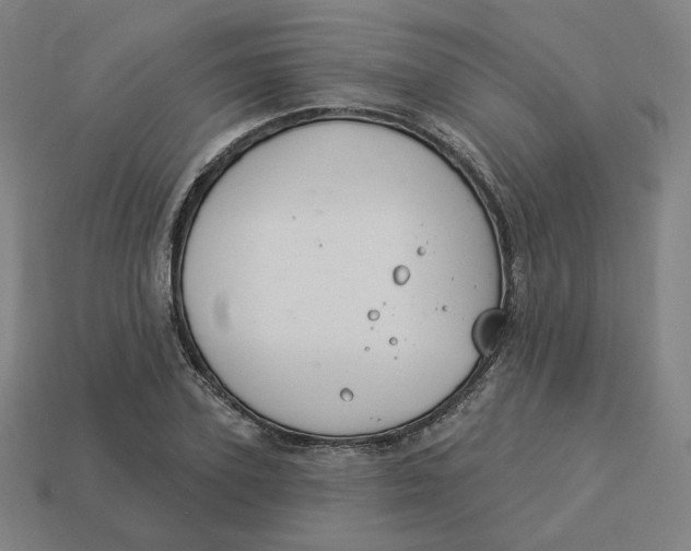 X0000113360931200910061037