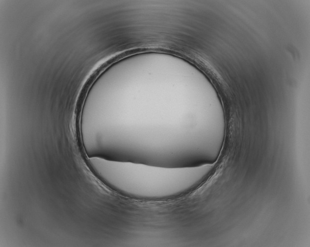 X0000113360932200910061037