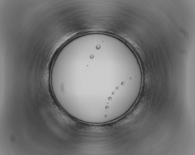 X0000113360933200910061037