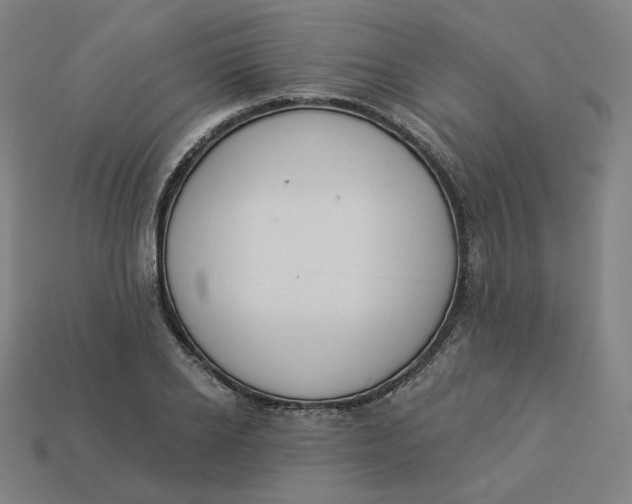 X0000113360934200910061037