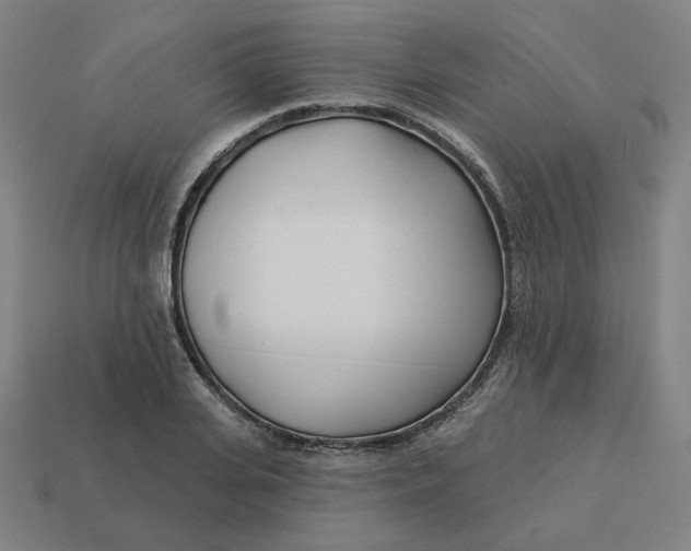 X0000113360935200910061037