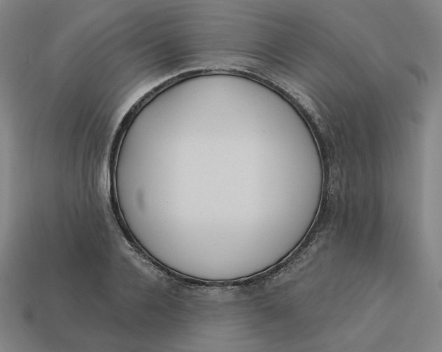 X0000113360936200910061037