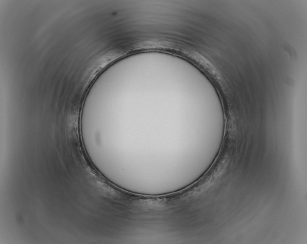 X0000113360937200910061037