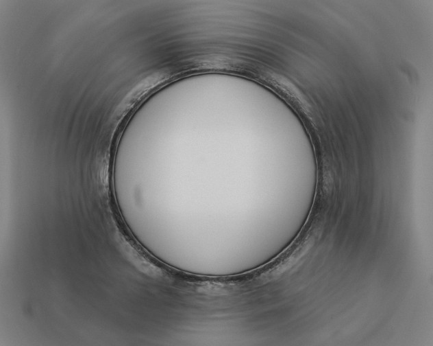 X0000113360938200910061037