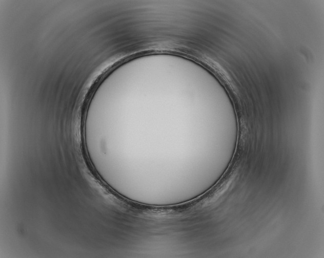 X0000113360939200910061037