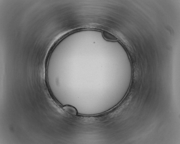 X0000113360940200910061037