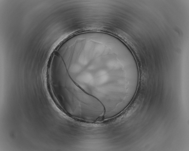 X0000113360941200910061037