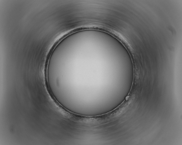 X0000113360943200910061037