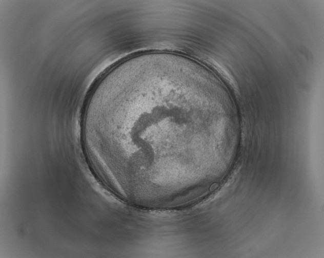 X0000113360944200910061037