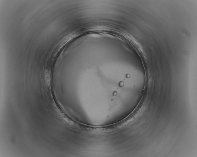 X0000113360945200910061037