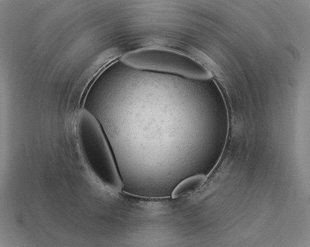 X0000113360946200910061037