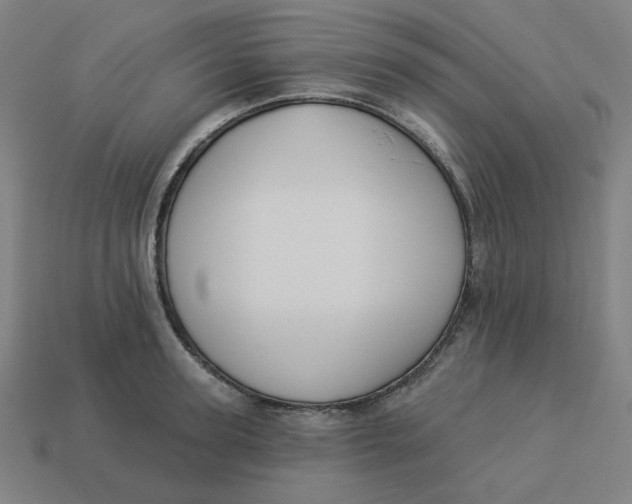 X0000113360947200910061037