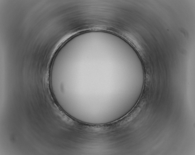 X0000113360948200910061037