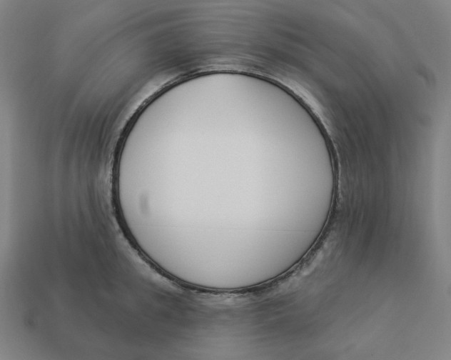 X0000113360949200910061037